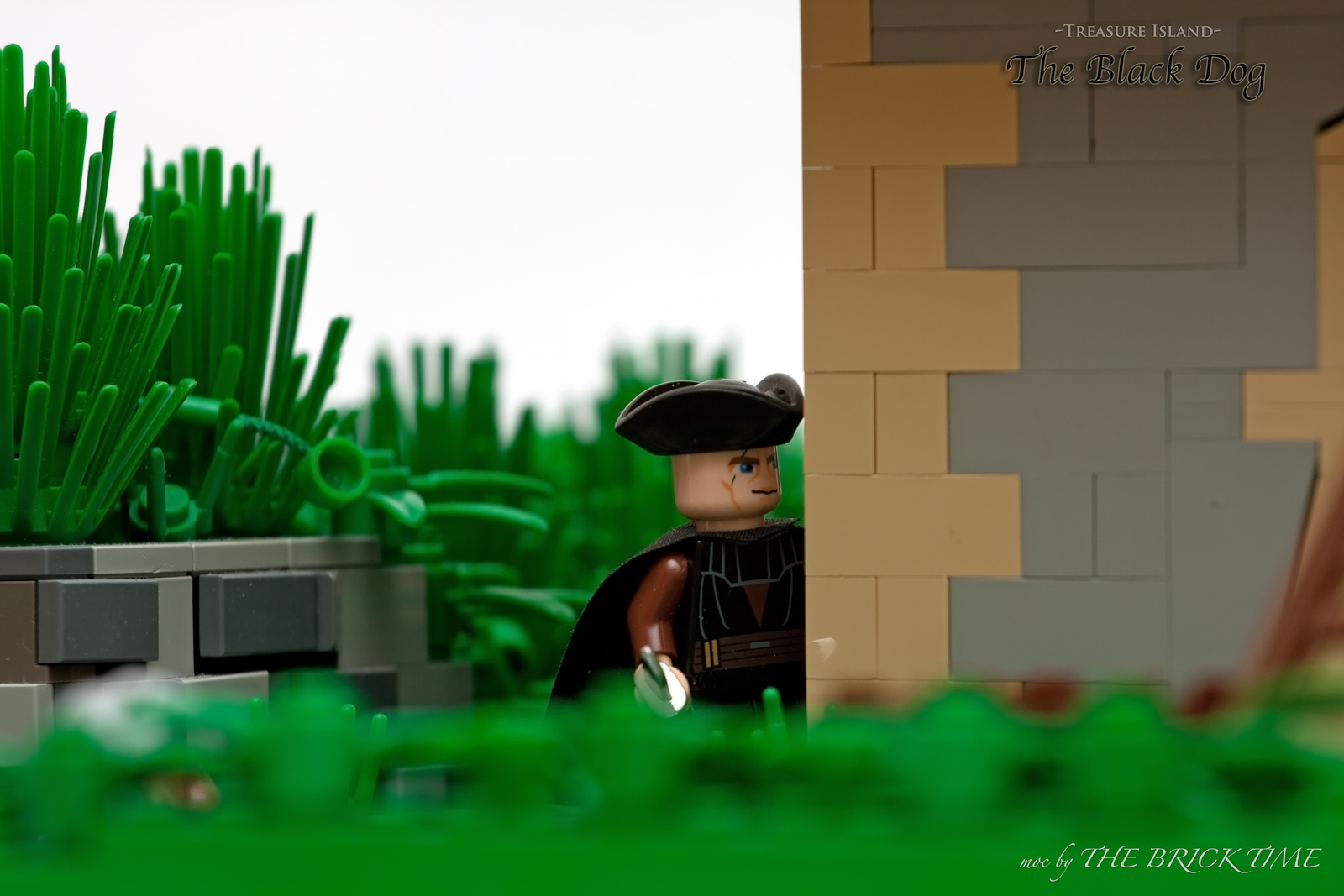 tbt_0499_lego_treasure_island_black_dog.jpg