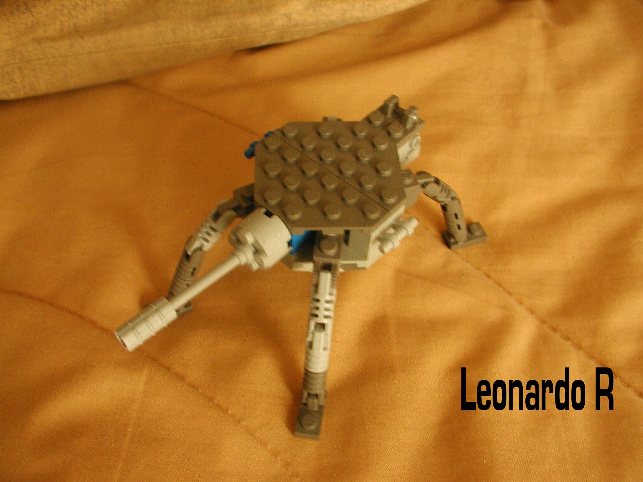 step20.jpg