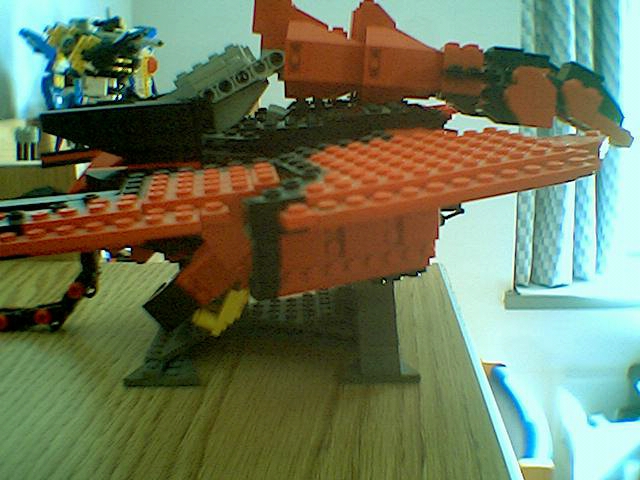 birdside1_0009.jpg