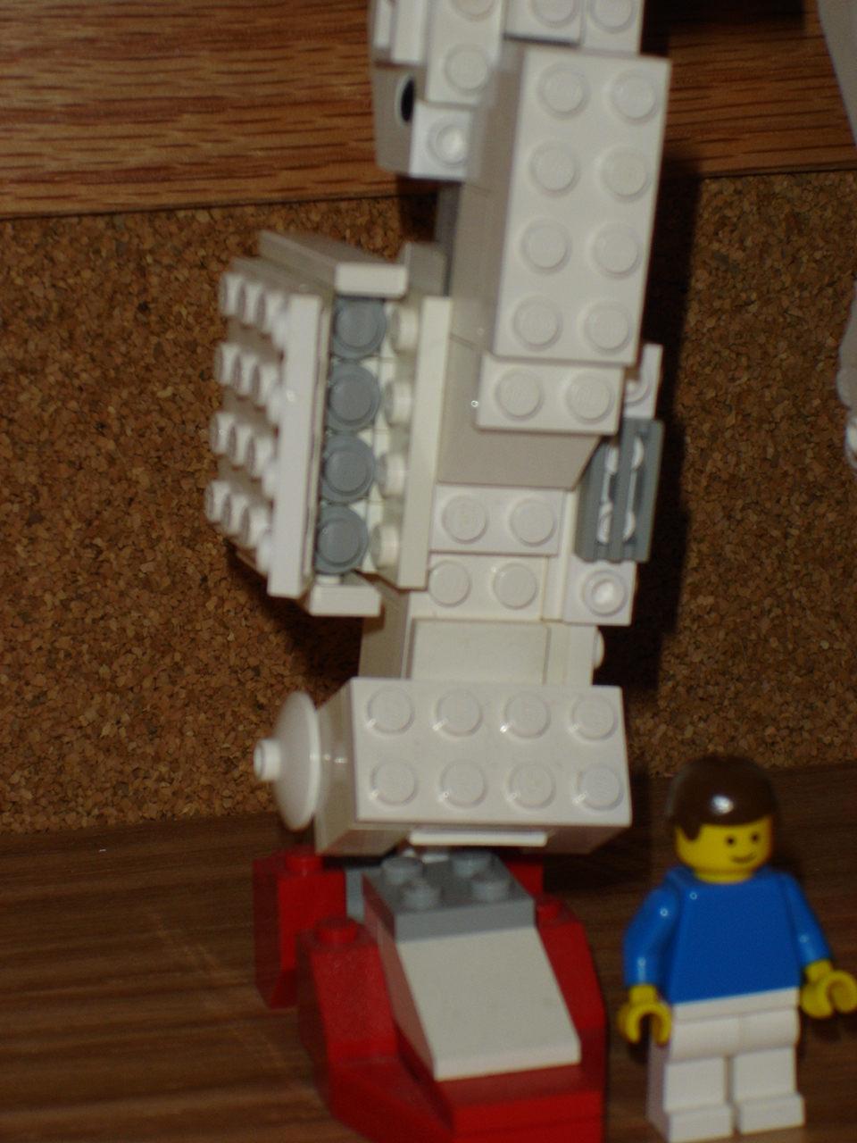 dsc00089.jpg