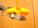 dscn2903.jpg
