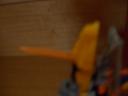 dscn2908.jpg