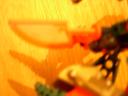 dscn2912.jpg