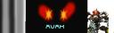 banner_avak.jpg