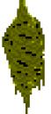 cocoon.gif
