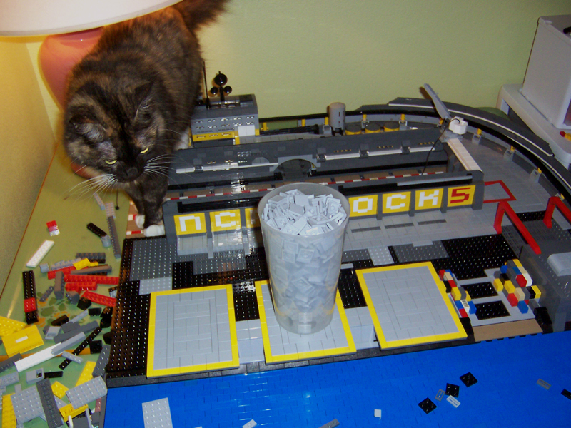 dockfivecat.jpg