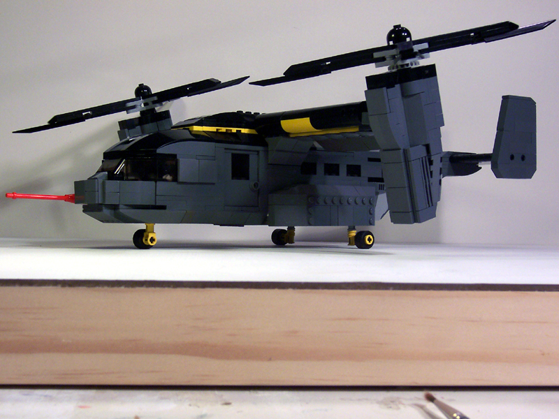 osprey_017.jpg