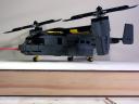 osprey_017.jpg