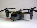 osprey_018.jpg