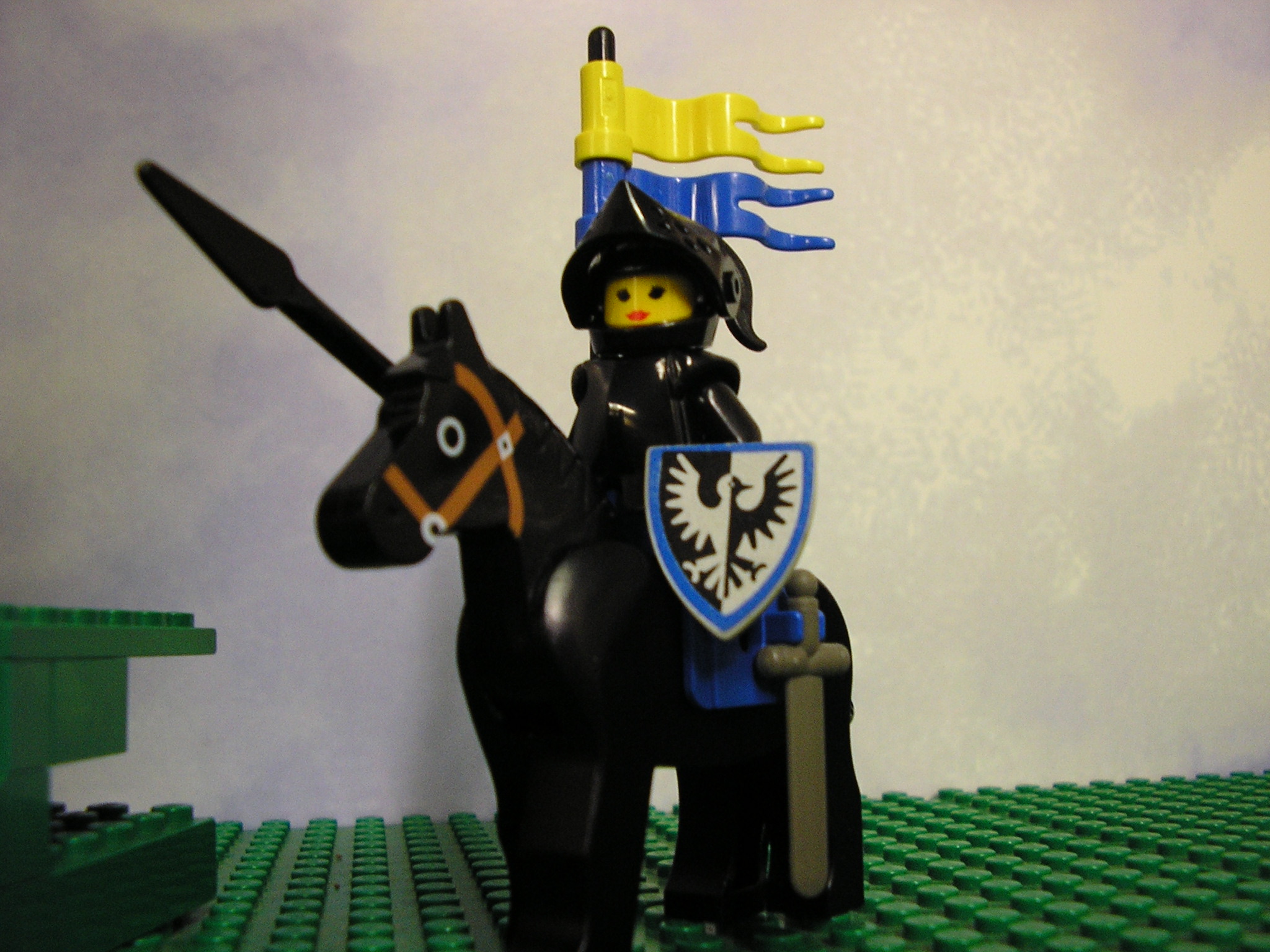 p1010016.jpg