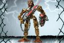 toa_hewkii.jpg