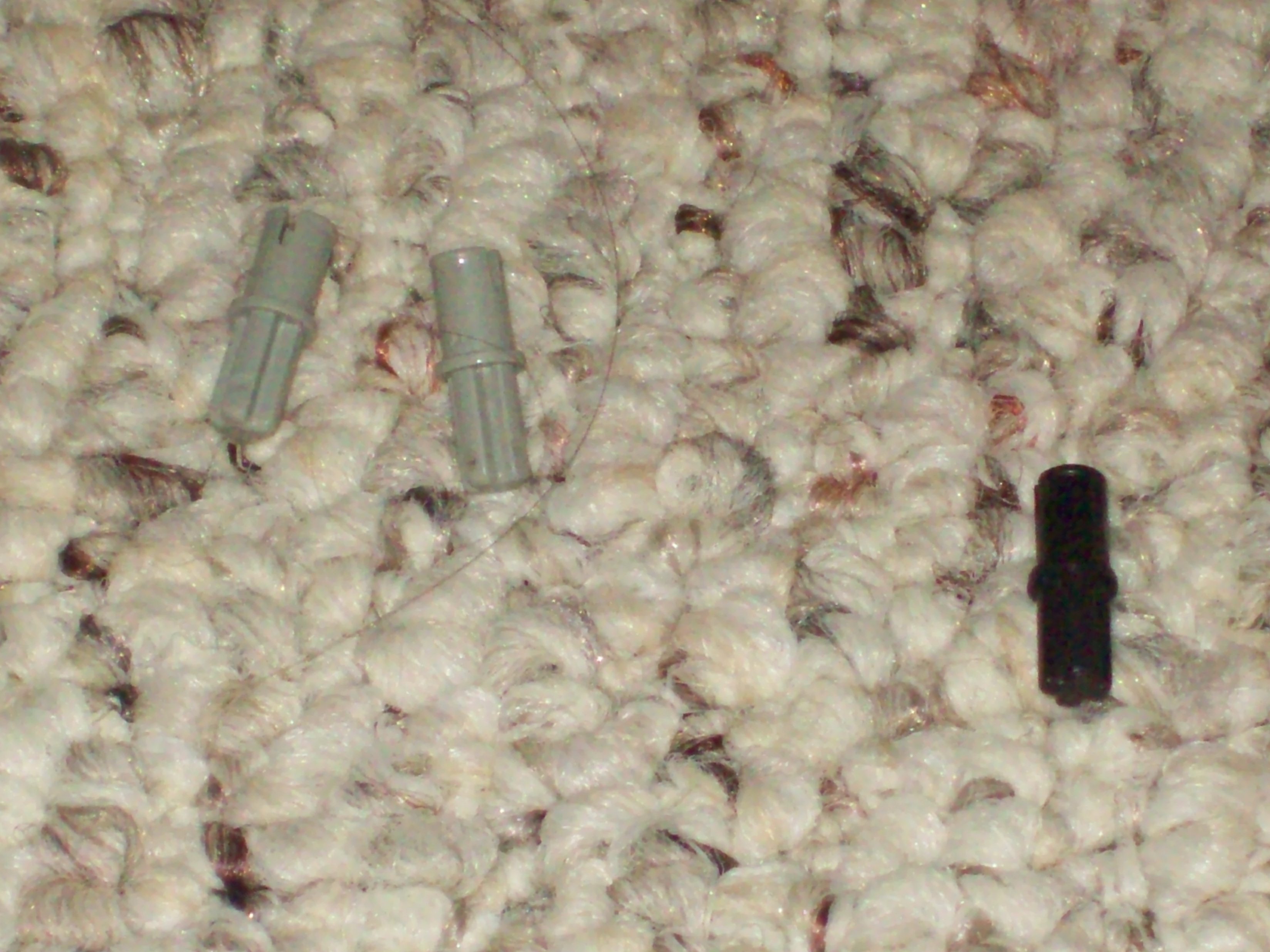 100_0099.jpg