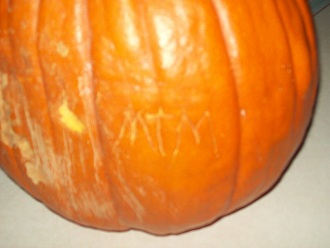 signed.jpg
