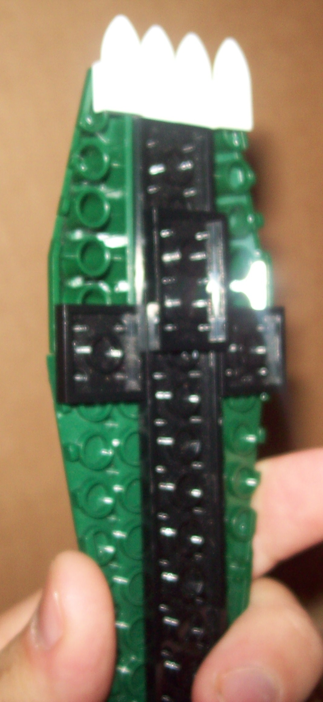 100_1237.jpg