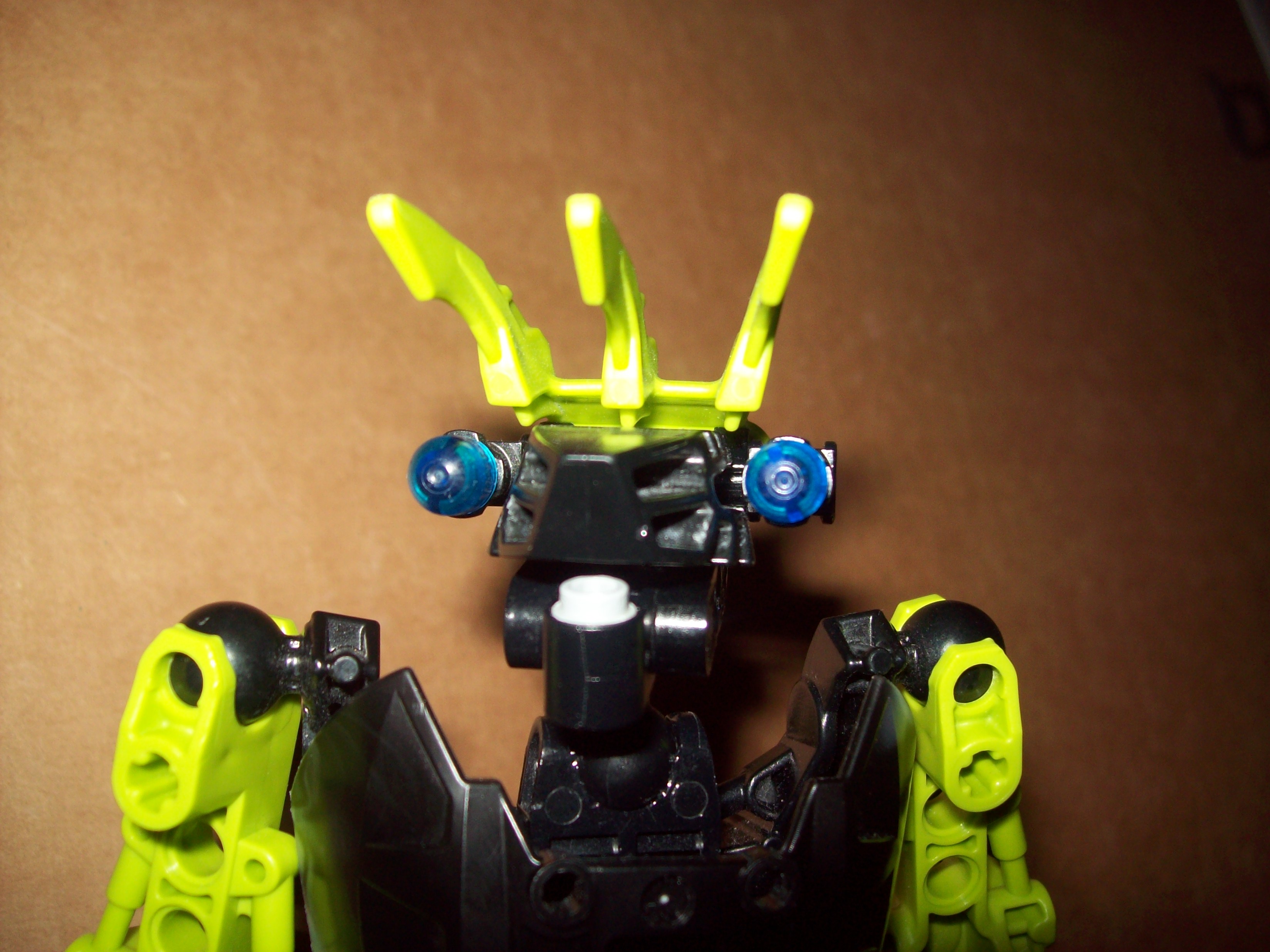 head2.jpg