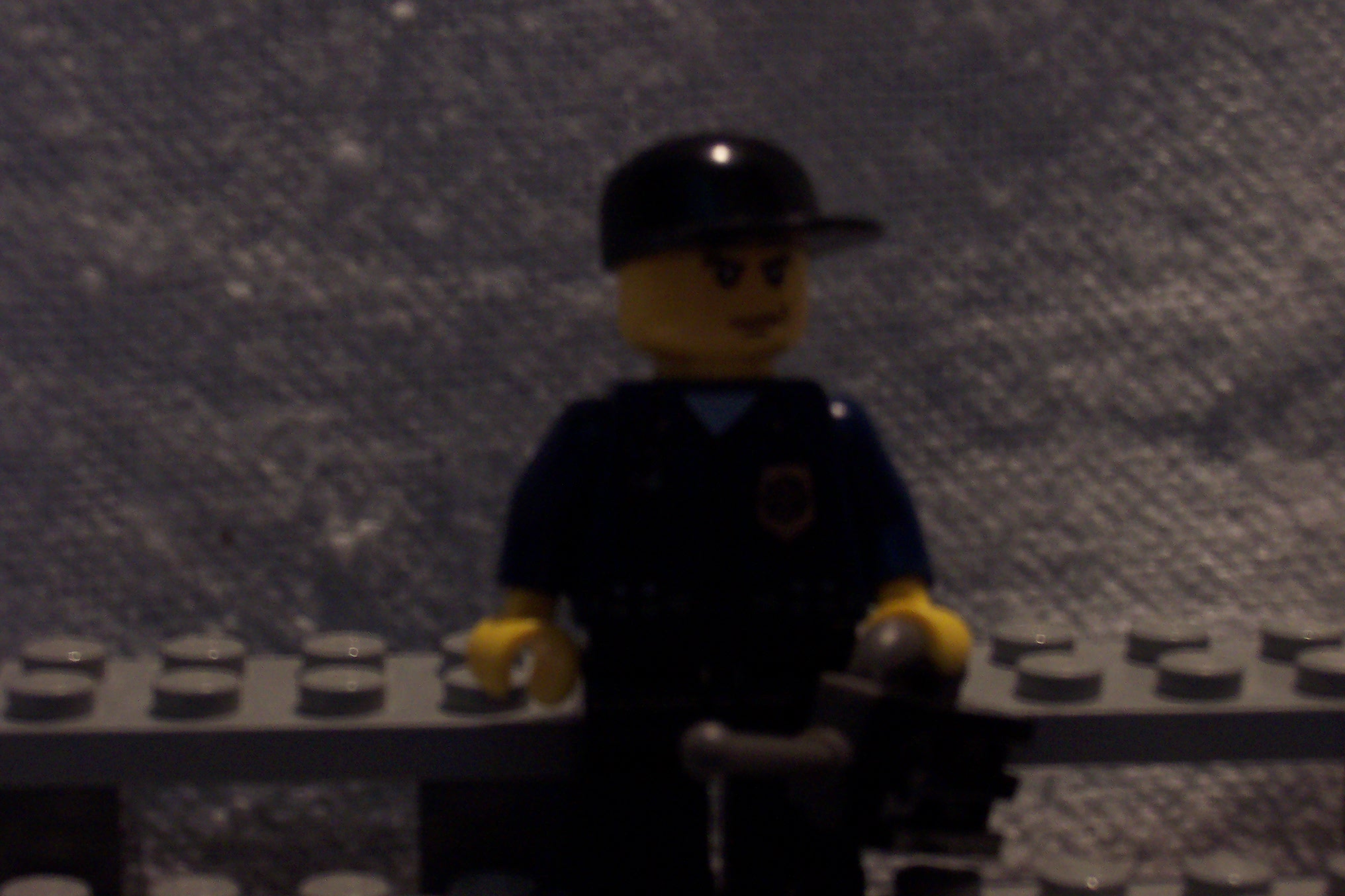 lego_pics_083.jpg