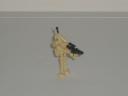 10_battle_droid_2.jpg