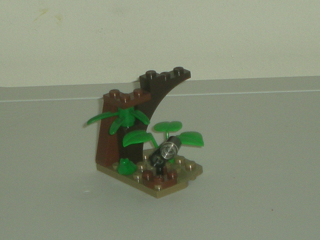20_swamp_scene.jpg