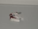 09_thx-130.jpg