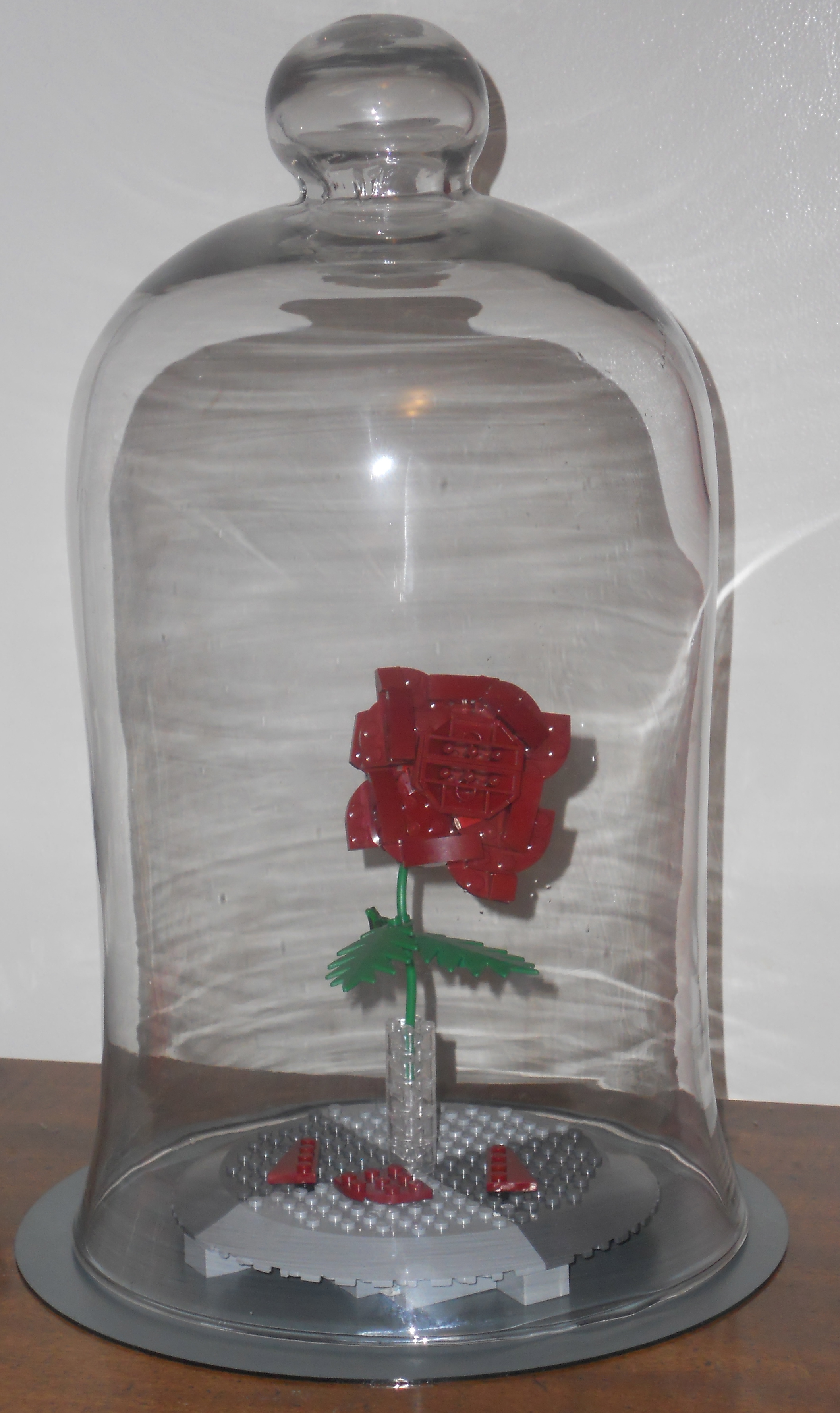dscn3890.jpg