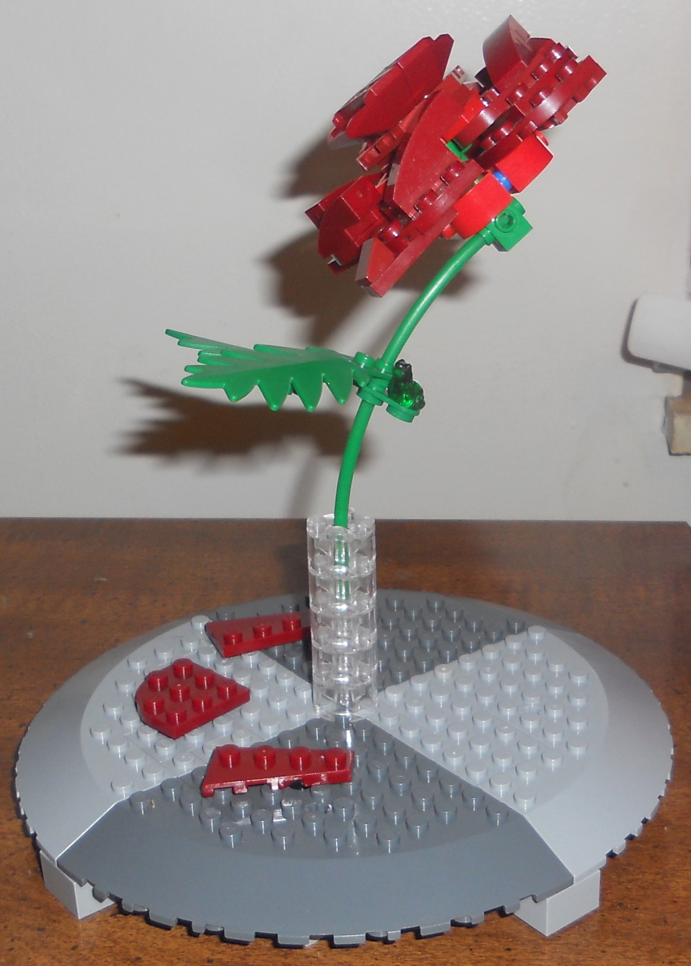 rose_9.jpg