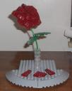 rose.jpg