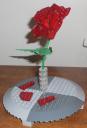 rose_6.jpg