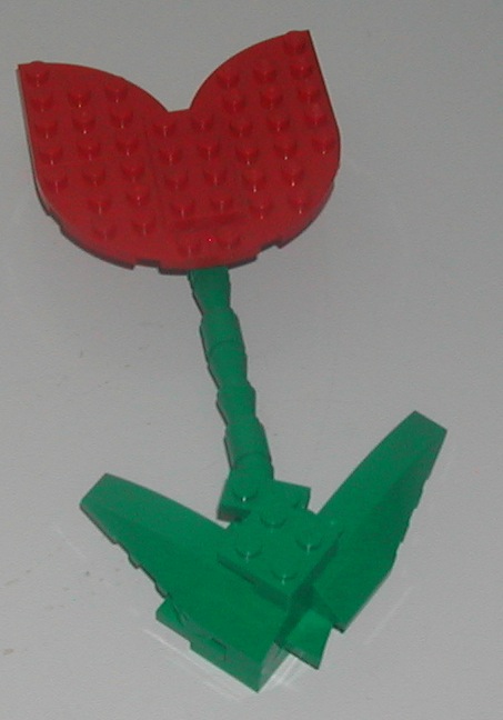 tulip.jpg