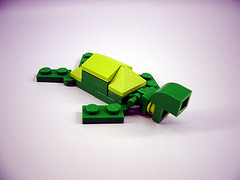 turtle_frontview.jpg