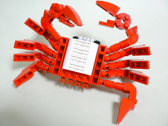 crab_06.jpg