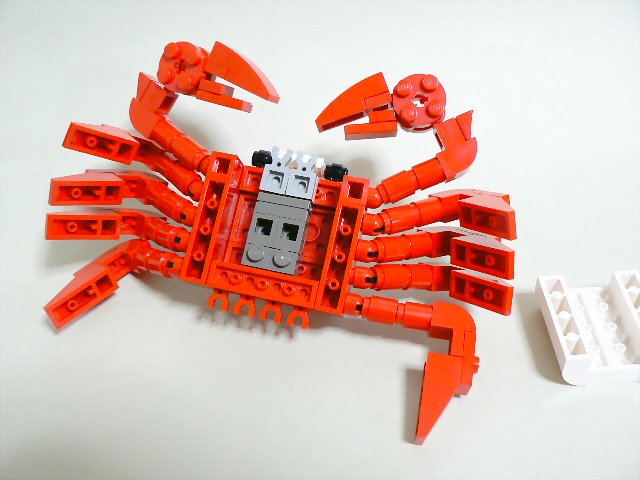crab_07.jpg