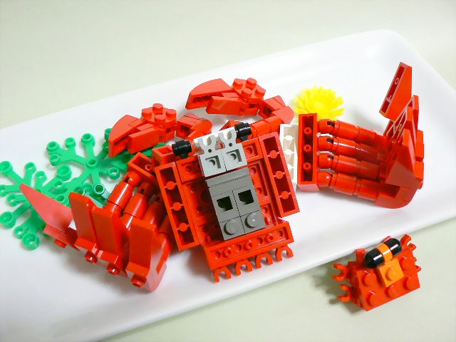 crab_08.jpg