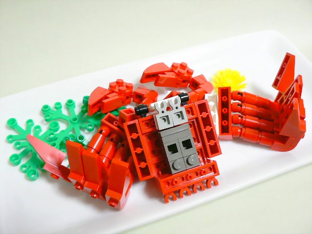 crab_09.jpg