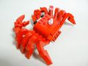 crab_03.jpg