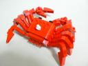 crab_04.jpg