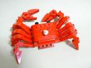 crab_05.jpg