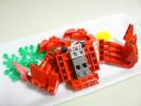 crab_09.jpg