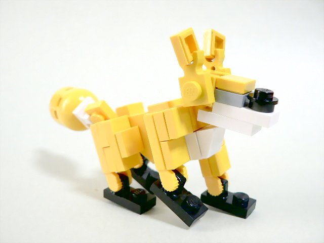 fox_01.jpg