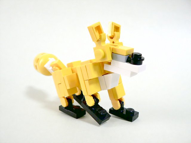 fox_02.jpg