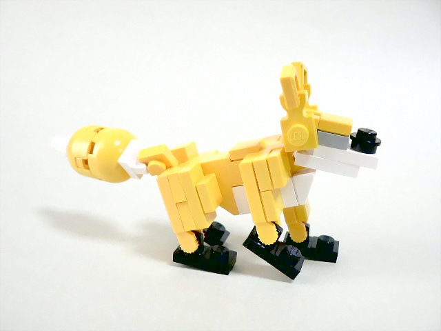 fox_03.jpg