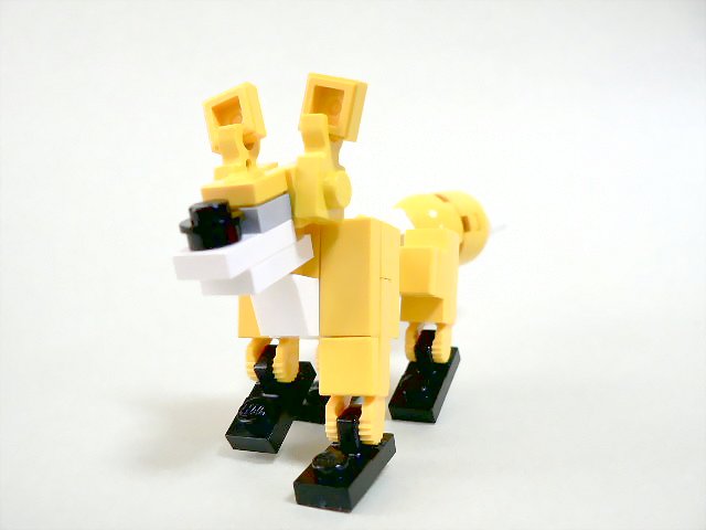 fox_08.jpg