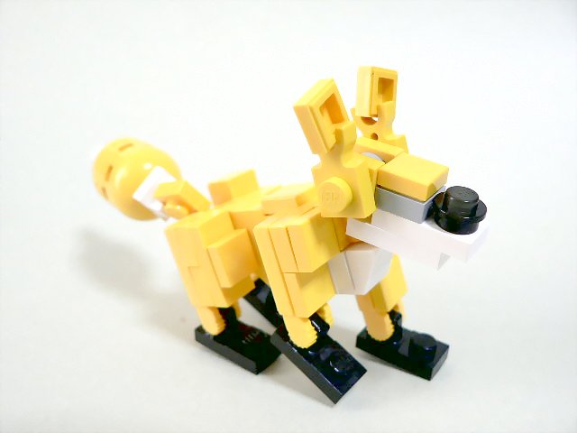 fox_10.jpg