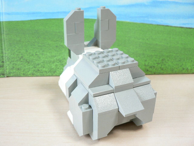 rabbit_07.jpg