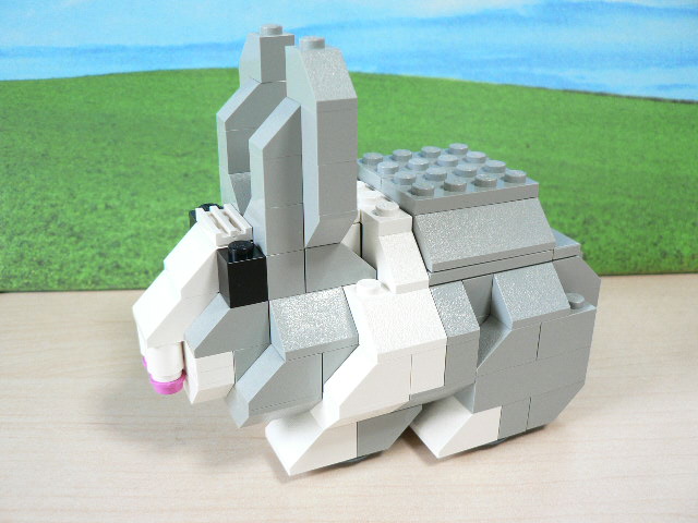 rabbit_08.jpg