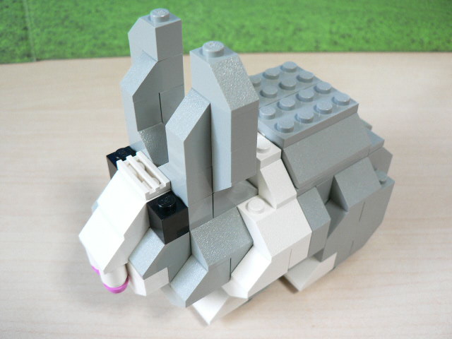rabbit_09.jpg