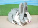 rabbit_04.jpg