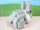 rabbit_06.jpg