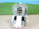 rabbit_12.jpg
