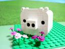 whitepig_05.jpg