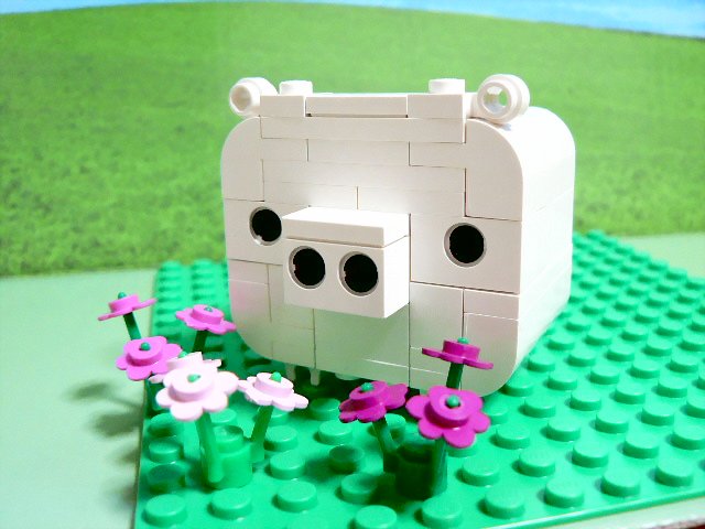 whitepig_05.jpg